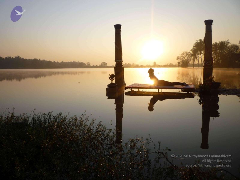 File:20100206 Photo 10 1In0PyR3U9AS6x99bmeFcjJk002v9HzzM.jpg