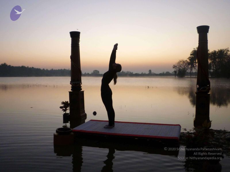 File:20100206 Photo 111 15q PnwUfs8Zv70hWRrX410Nzwr BQG9-.jpg