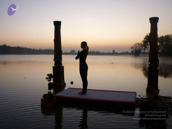 20100206 Photo 112 1V2dn3xFnbDtyJDBpKdoVVvbXX3PiT3Eg.jpg