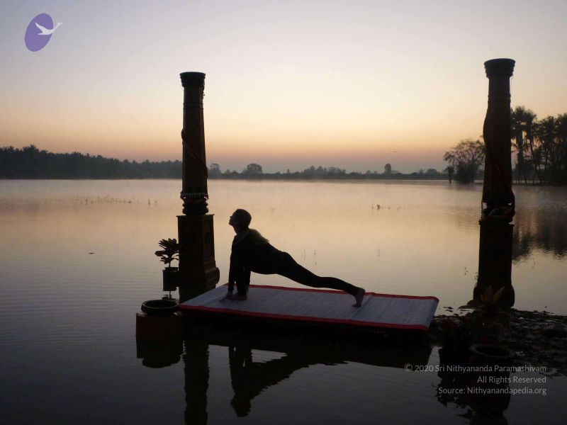 File:20100206 Photo 113 1oTzxI2kU99A8o7jG LEE3uUpUq7wJzXP.jpg