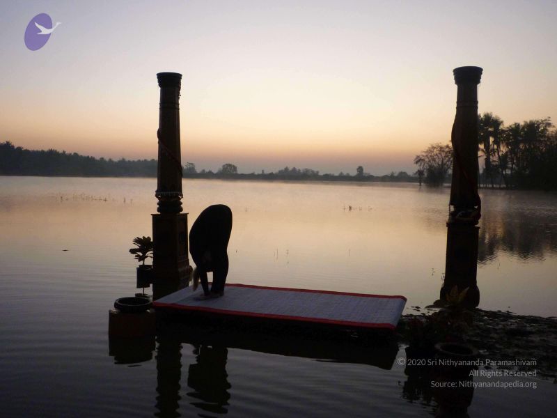 File:20100206 Photo 114 1Ymn0MSODeTQ JfotU275Y1ZfSiSsu-xI.jpg