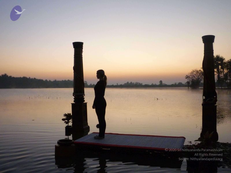 File:20100206 Photo 116 1L-ZwsGUEOyRx9o68xc 51wtLsiq9 MpM.jpg