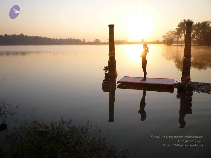 File:20100206 Photo 138 1k-uOQ-buyJ2Nm8 1JVkBBPksTa6CwXHs.jpg