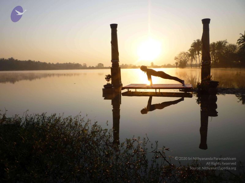 File:20100206 Photo 13 1KkhcLM1 t08aX4q08ENWGTqgclSQ9Njz.jpg