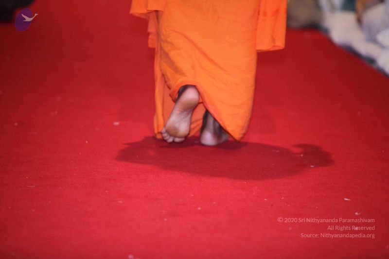 File:20100206 Photo 1450 1lZba0sNEhTAS6IU YrSPGLExRgxjZ7bZ.JPG