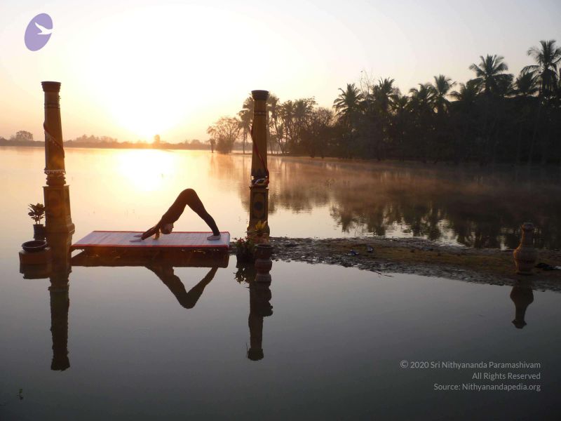 File:20100206 Photo 145 1Aqko2cLO9iTDxTEFaq9IBZ2gBpiW46nE.jpg