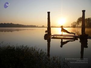 20100206 Photo 14 1CDCsXWaIkfxPzLhpQ-WGt4SUzYKSroKv.jpg