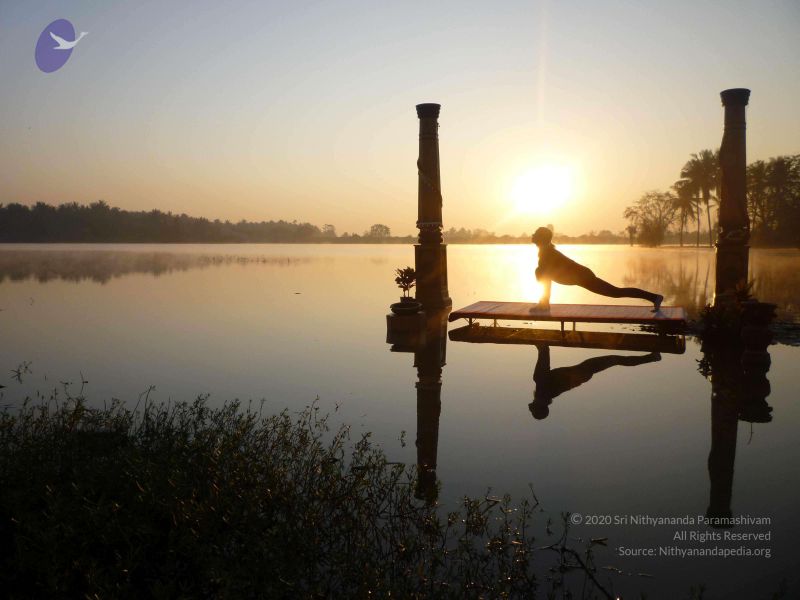 File:20100206 Photo 14 1CDCsXWaIkfxPzLhpQ-WGt4SUzYKSroKv.jpg