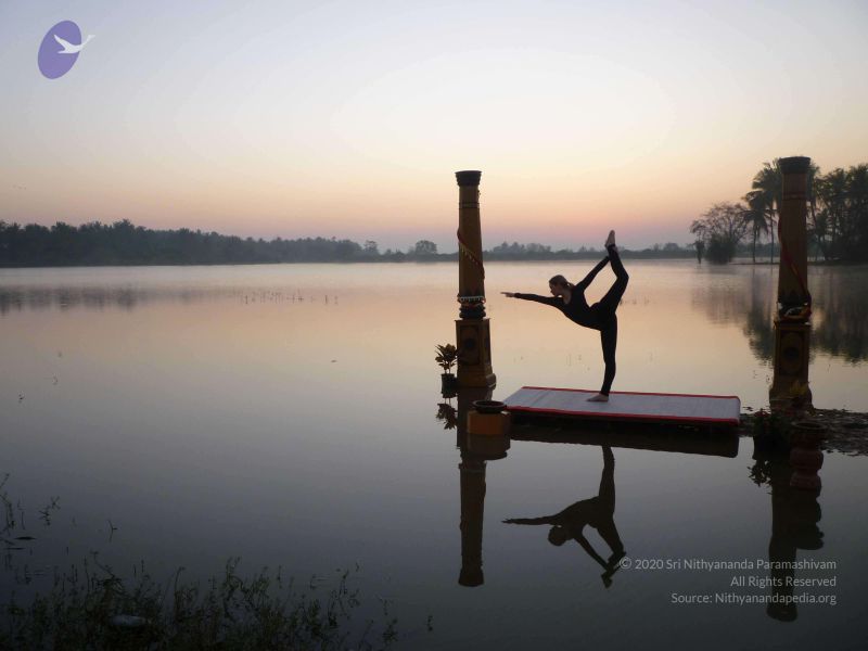 File:20100206 Photo 150 1CGLgFFmwsMUytItwVDvVUpszeps2GKk6.jpg