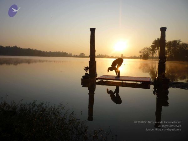 20100206 Photo 15 1TCa4poCQnkPzTRfxPFXKzVgZkB6Ev2Cd.jpg