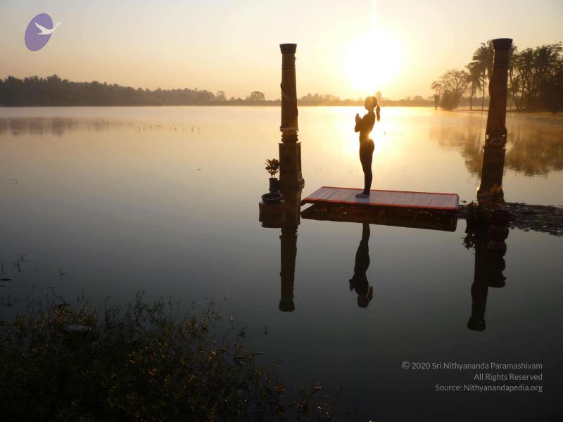 File:20100206 Photo 18 1qDMsJTVV0p08OZ2rOC8ZrwQLrH9goVKY.jpg