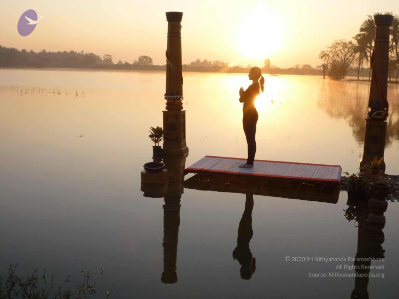 File:20100206 Photo 26 1DxPiYXddI9p-5pW5ZPOrb91r-B9Ty88J.jpg