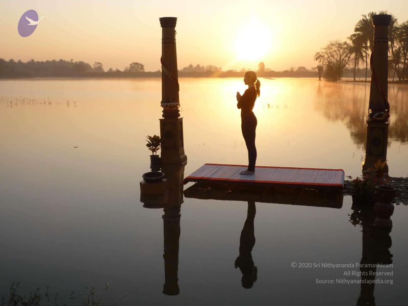 File:20100206 Photo 27 11pmZUk6LM2203jEce-60qcIYFwgf f5n.jpg