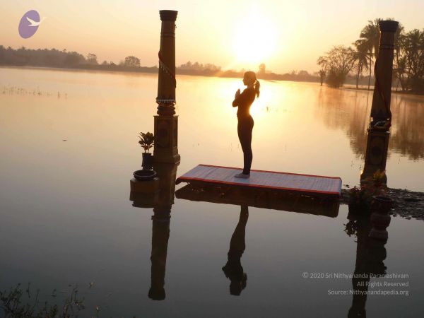 20100206 Photo 28 1sc5t3SQoFQEkOciwLBVeH nZmp4lSEb3.jpg