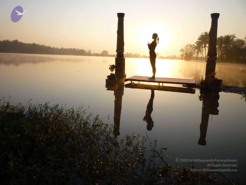 File:20100206 Photo 2 1ztoCMJ204xlA4THmMy2nEqI1BHTUg0S5.jpg