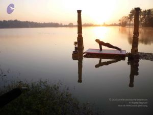 20100206 Photo 31 1UjiqKbXpiDgN1ylgtAkXuOs6ulkQ-Vro.jpg