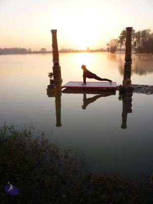 20100206 Photo 32 1MYjBbcH0okngkG RCYkF5rFM41hakBcy.jpg