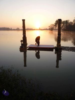 20100206 Photo 33 1KNoOgSiFa5jc3eTUhVozt0NOhbmH8K3J.jpg