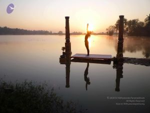 20100206 Photo 34 1y1Gp28joSVmB8wN4l-75Nud 20D-3Txz.jpg