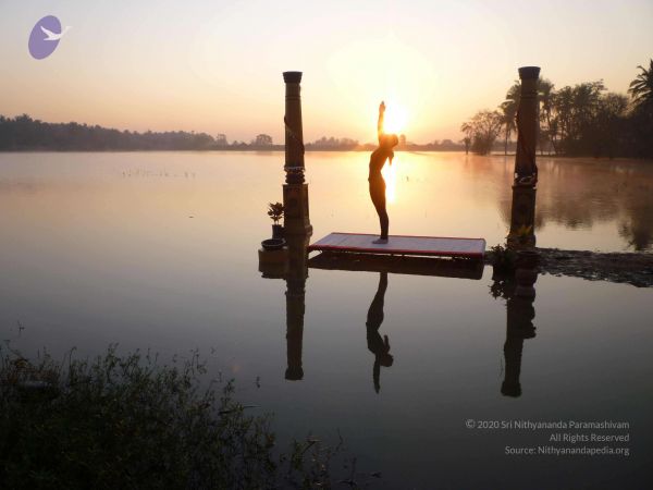 20100206 Photo 34 1y1Gp28joSVmB8wN4l-75Nud 20D-3Txz.jpg