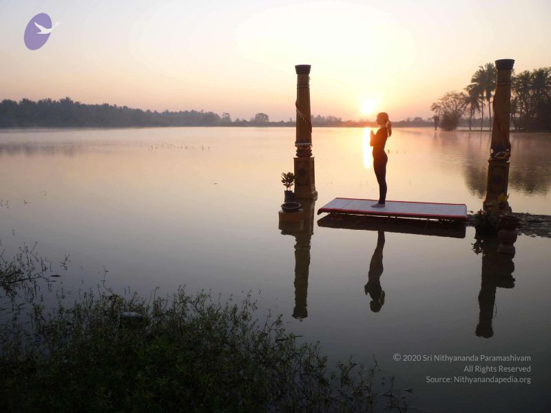 File:20100206 Photo 35 1tRMglrrrtcuvckH1-FMuWqTCzbPhdoPF.jpg