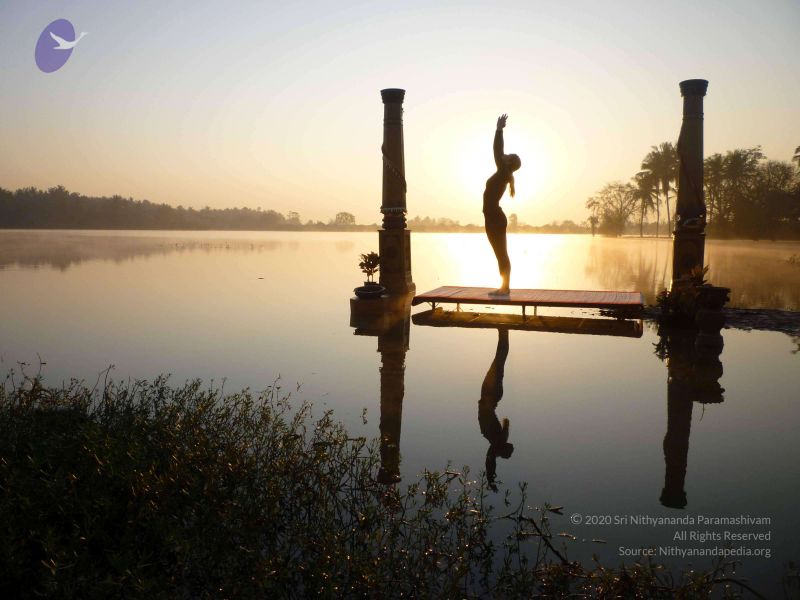 File:20100206 Photo 3 1RAmZQgf-HC3ALiJpX7ARBbixkZeU3fvR.jpg