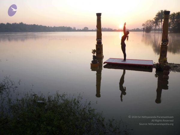 20100206 Photo 43 1ftjERvEJi2LocCFBcGU0XS41ldrHYKCF.jpg