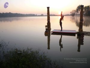 20100206 Photo 44 1RvPDK-cT0ElNh6RSSgVbxrQWwUZAra7Z.jpg