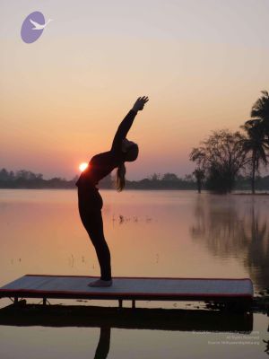 20100206 Photo 50 1aDecSNPNJuAnS bhFK8Cog2hg2oafBtb.jpg