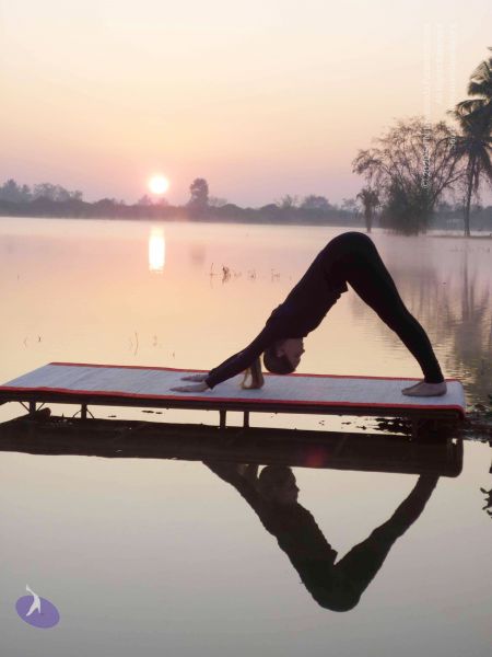 File:20100206 Photo 53 1pBU74wyl00sPSmcZQoZ8l74NZHuS2Tv .jpg