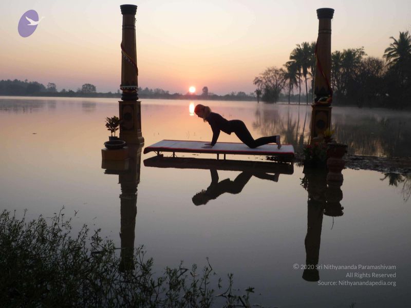 File:20100206 Photo 56 1tkFi75dN1Y9IbZge8GE792 lHcHud0x .jpg