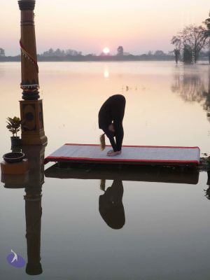 20100206 Photo 62 1J2ivP6TmiAd5mdWk8VFXQJ T9peyTd2O.jpg