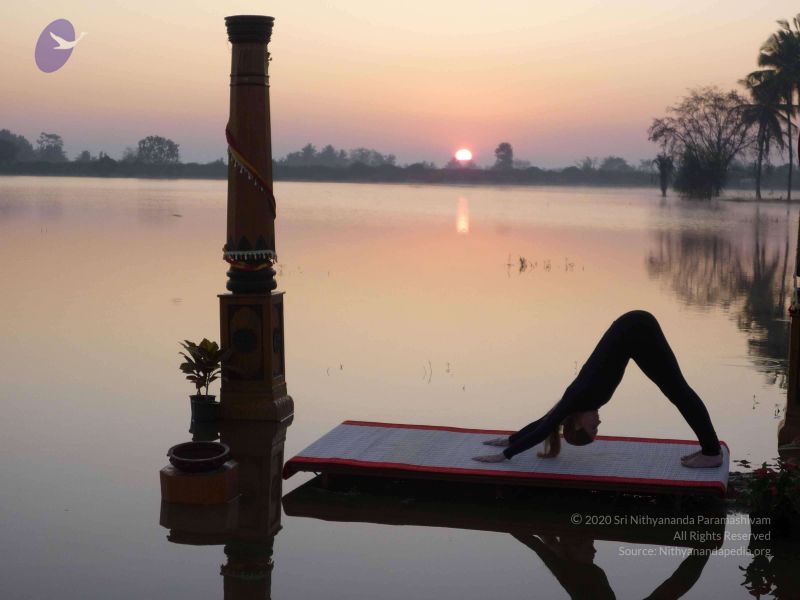 File:20100206 Photo 64 1zH0 K01CWFzto4xJ2OJZ5O8B16ONLQZP.jpg