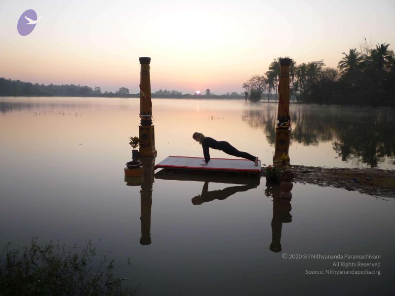 File:20100206 Photo 66 1wldqrx7XI7-U krGjxdHZmeMrjzIoYPt.jpg