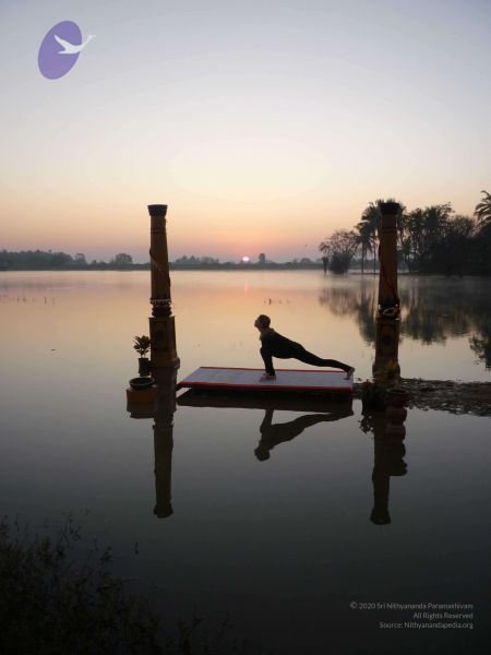 File:20100206 Photo 67 14S53z akT4HKmlnT4hRxvCyAEqq8Ca80.jpg