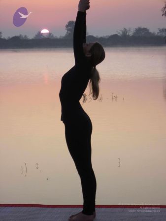 20100206 Photo 68 10Fb1phLF8Q3scp3guJ5ny2EBJ4SxGfzz.jpg