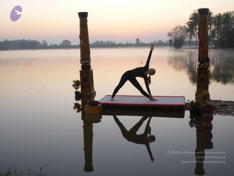 File:20100206 Photo 71 1OeTzCupkAGKrKQtJrRbaNsOQGuxBU4Yy.jpg