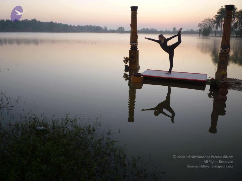 File:20100206 Photo 73 1jfUoBoMnQJ4Czwi9xrMeWG 9Ssf ylka.jpg