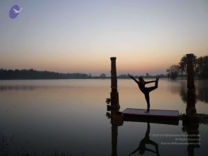 20100206 Photo 75 1mcoO9N20II4Ai9NjLgUoSKMKm-7W1CV4.jpg