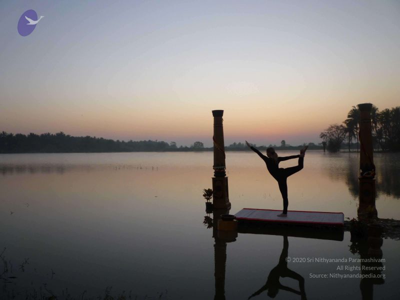 File:20100206 Photo 75 1mcoO9N20II4Ai9NjLgUoSKMKm-7W1CV4.jpg