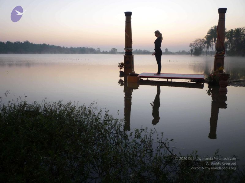 File:20100206 Photo 79 1W5QMiRU XZMUKOtYVlkvgeLueIu4pmvN.jpg