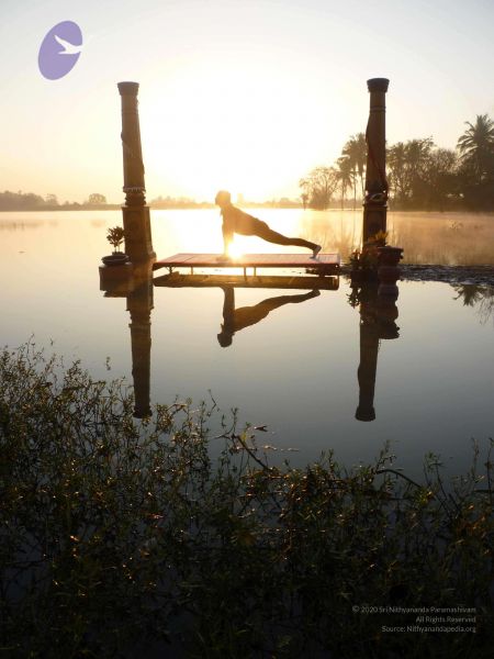 File:20100206 Photo 7 1Nd9d89WR5zAc0P1z69fMItyTmDRzD0pU.jpg