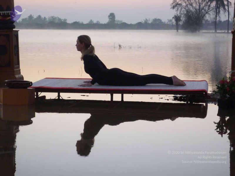 File:20100206 Photo 83 1OXOufkhvh581XqE Z5pjPndMe rSDtg9.jpg