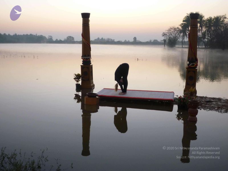 File:20100206 Photo 87 1Sm7iQrDPD1yvGLYpMScPx4ey-u5hYVQU.jpg