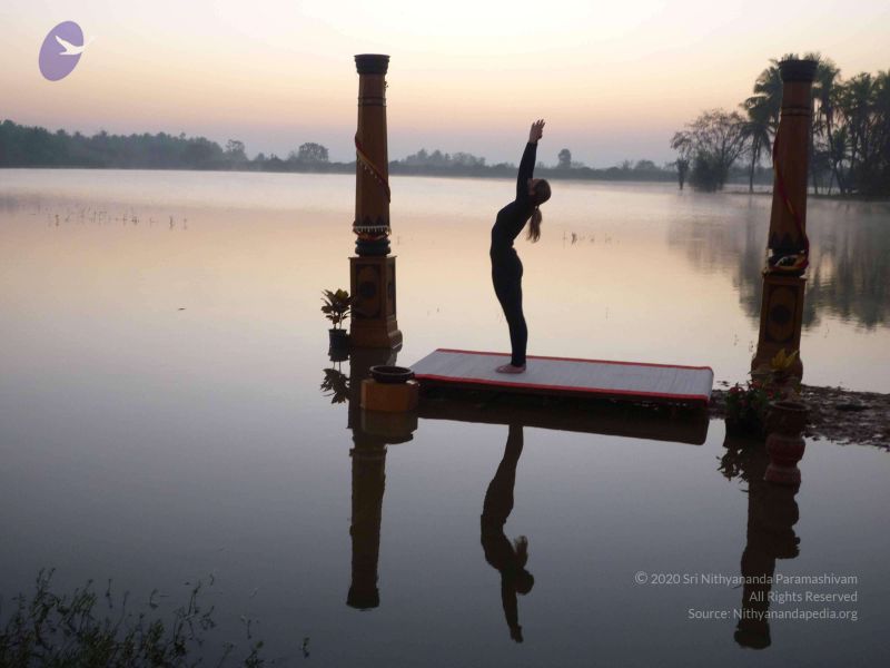 File:20100206 Photo 88 1Lx8HKoJ6uJG-H8dQn7ChltXaWSmDhsTI.jpg