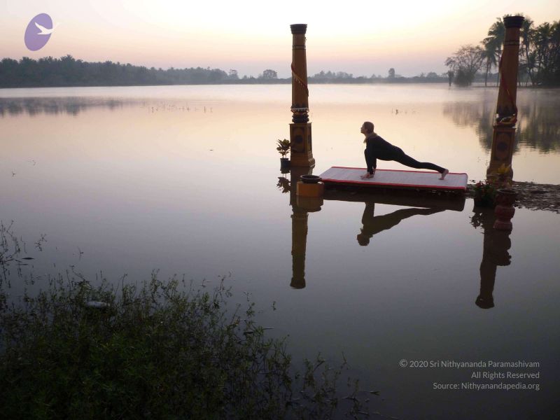 File:20100206 Photo 92 1gaXVDJcd9ZD2jpE0svsLNQ5JLtm0lu3m.jpg