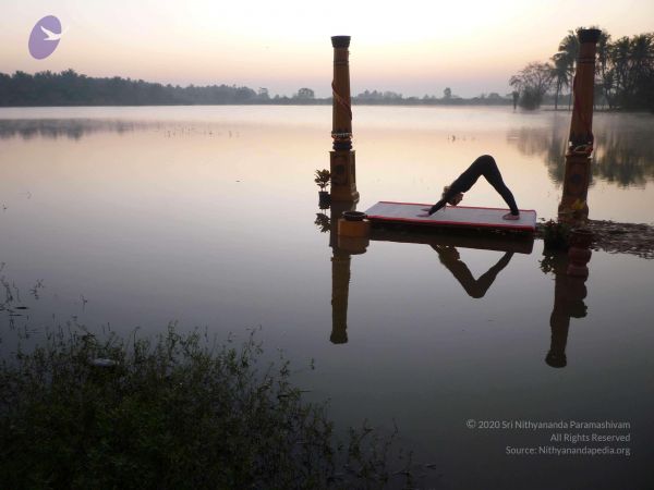 20100206 Photo 93 1K4u4tkMDp5tbOAXr-otyduUmcRQ8WH77.jpg