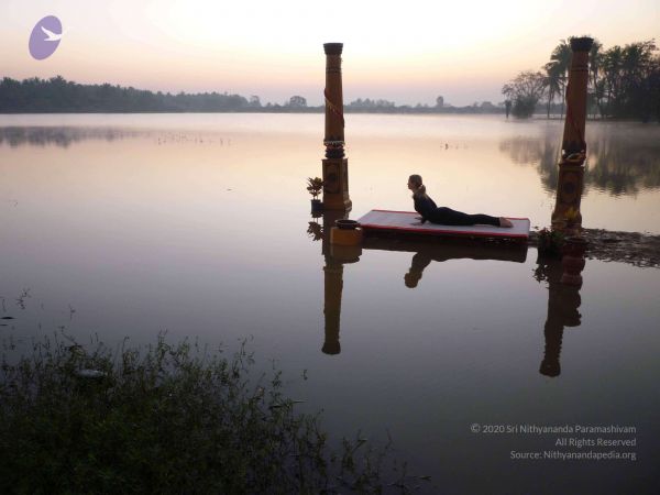 20100206 Photo 94 1V7Me5mrUSV9EFFebV5L8YpN MApiCOnS.jpg