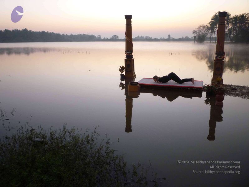 File:20100206 Photo 95 1vVk2OlIRBxeSMexgatpcRw4aIwFrJFkh.jpg