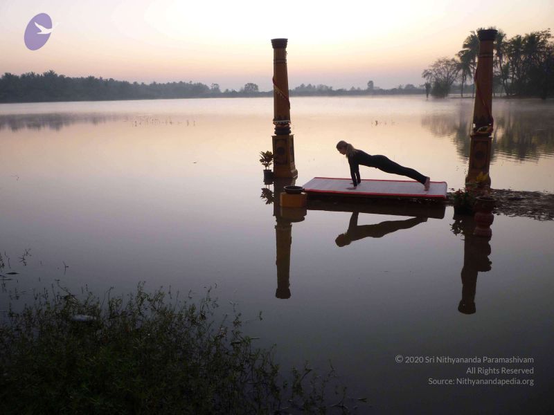 File:20100206 Photo 96 1aREQlA03isg9sRgyOIGEMzuX8 s4BWML.jpg